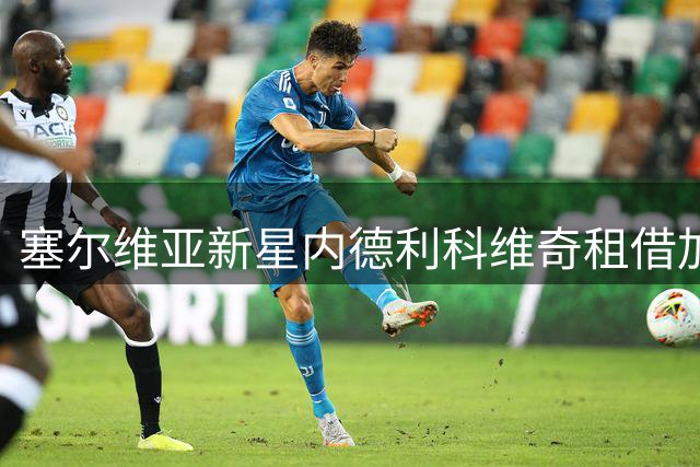 塞尔维亚新星内德利科维奇租借加盟流浪者队