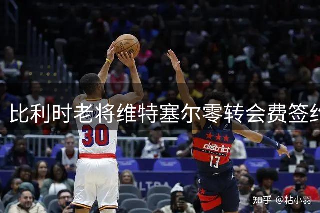 比利时老将维特塞尔零转会费签约尼斯队